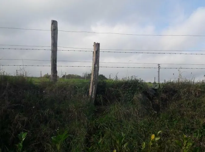 Hébergement de vacances Jardin D Elisa Chevetogne